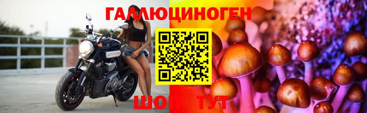 Орехово-Зуево  Галлюциногенные грибы мицелий  Вход с VPN 